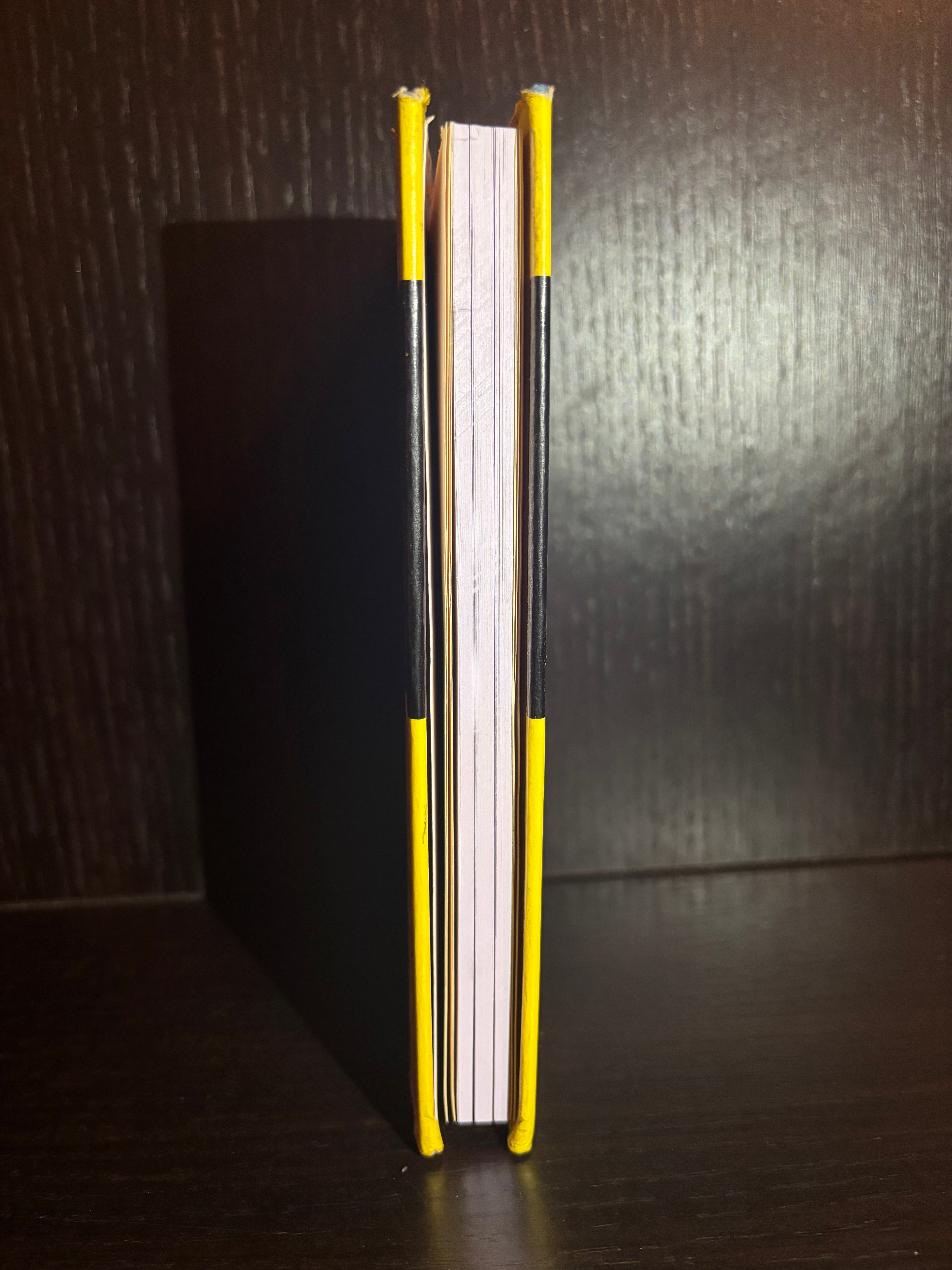 Brickwork (1970) Plain Notebook