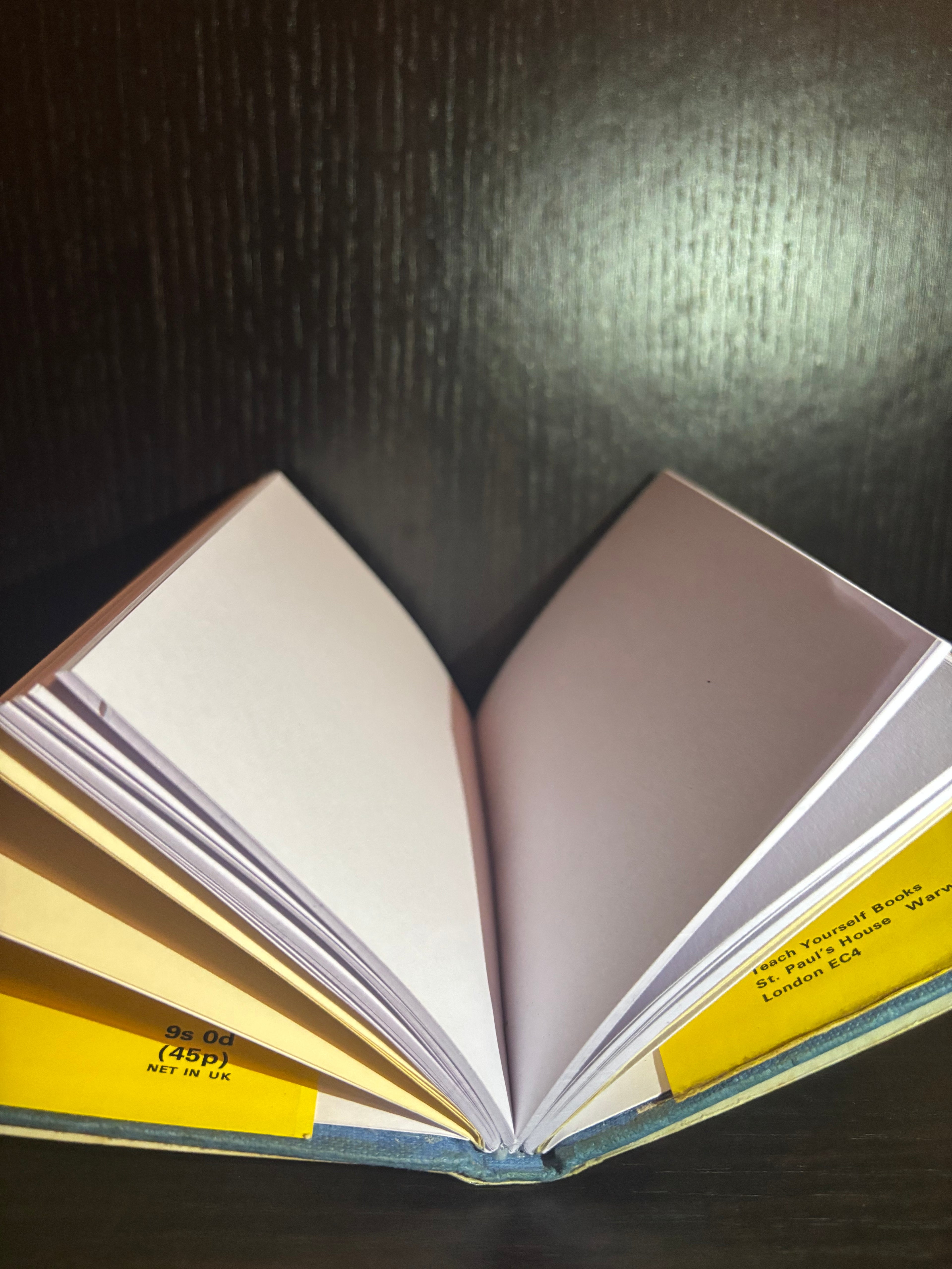 Brickwork (1970) Plain Notebook